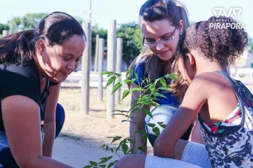Crianças plantam árvores em Pirapora