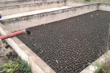 O potencial do lodo gerado na ETE para a agricultura
