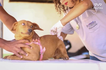 Campanha de vacinação contra a raiva segue até o dia 25 de outubro