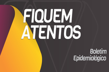 Saúde divulga Boletim Epidemiológico da Dengue