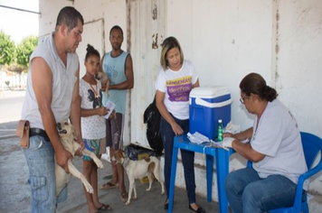 Campanha de vacina antirrábica imunizou centenas de cães e gatos no fim de semana