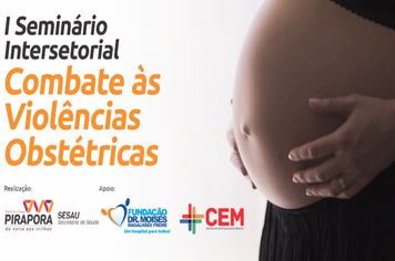 Seminário de Combate às Violências Obstétricas é tema em Pirapora