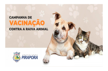 Prefeitura inicia vacinação contra a raiva