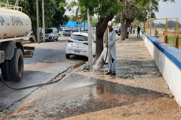 LAVAGEM E PODA DE ÁRVORES NO CALÇADÃO