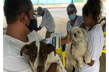 PIRAPORA REALIZA VACINAÇÃO ANTINRRÁBICA