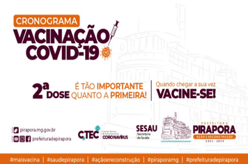 Covid-19: Cronograma de Vacinação