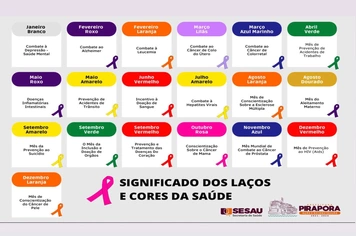 Significado dos Laços e Cores da Secretaria de Saúde de Pirapora