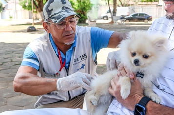 Campanha de Vacinação Antirrábica Animal