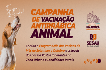 Campanha de vacinação contra a raiva animal