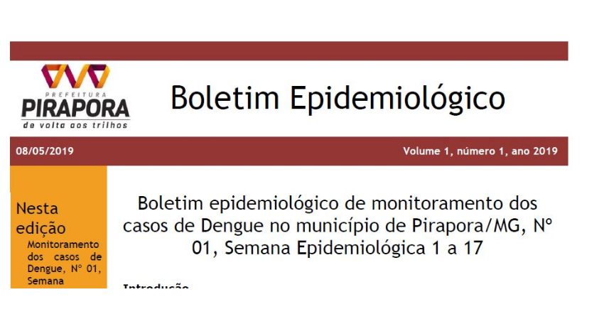 Relatório da Dengue em Pirapora