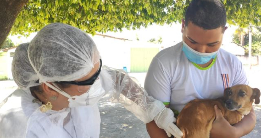 Prefeitura inicia campanha de vacinação contra a raiva