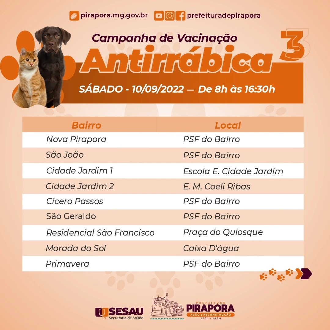 Campanha de Vacinação Contra a Raiva em Cães e Gatos