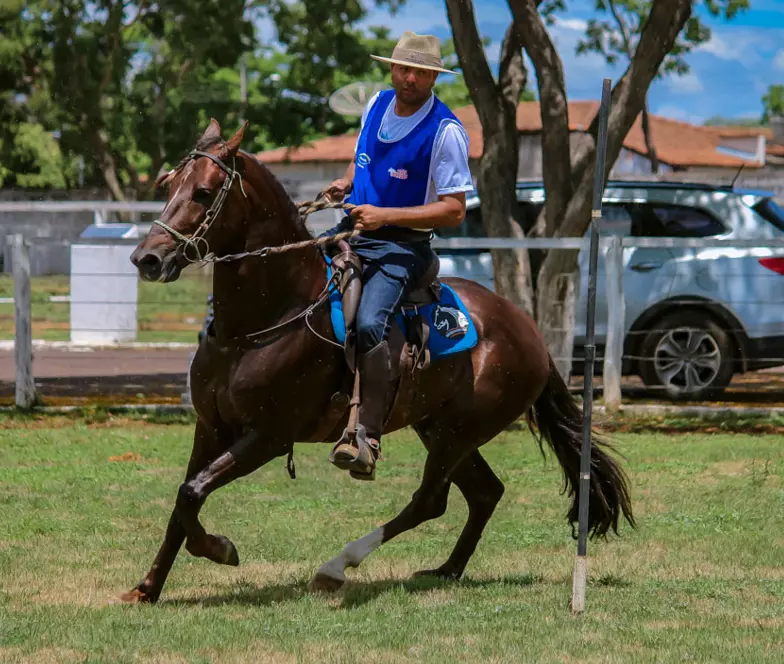 Com apoio da Prefeitura de Pirapora, 1ª Copa de Marcha de cavalos mangalarga será uma das atrações do final de semana