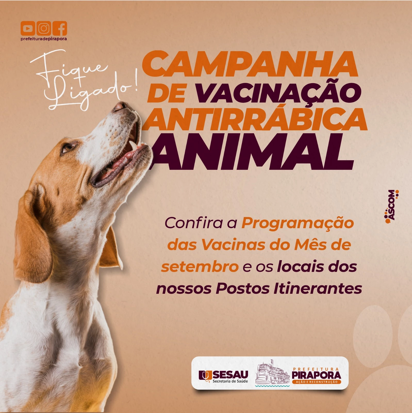 Campanha de Vacinação Antirrábica