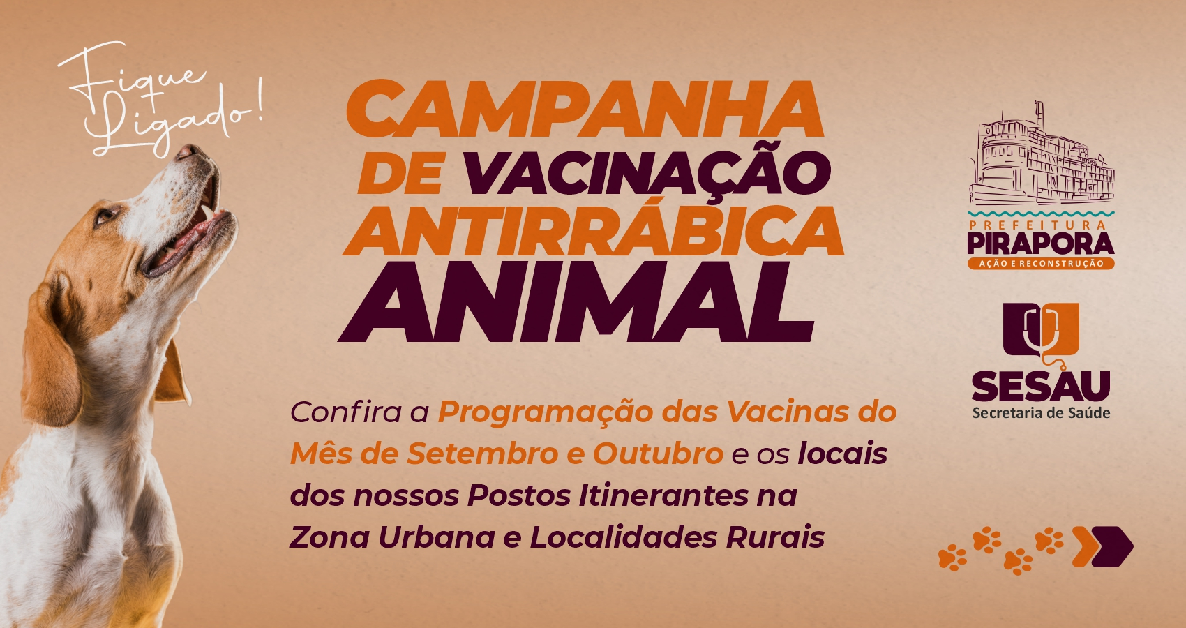 Campanha de vacinação contra a raiva animal