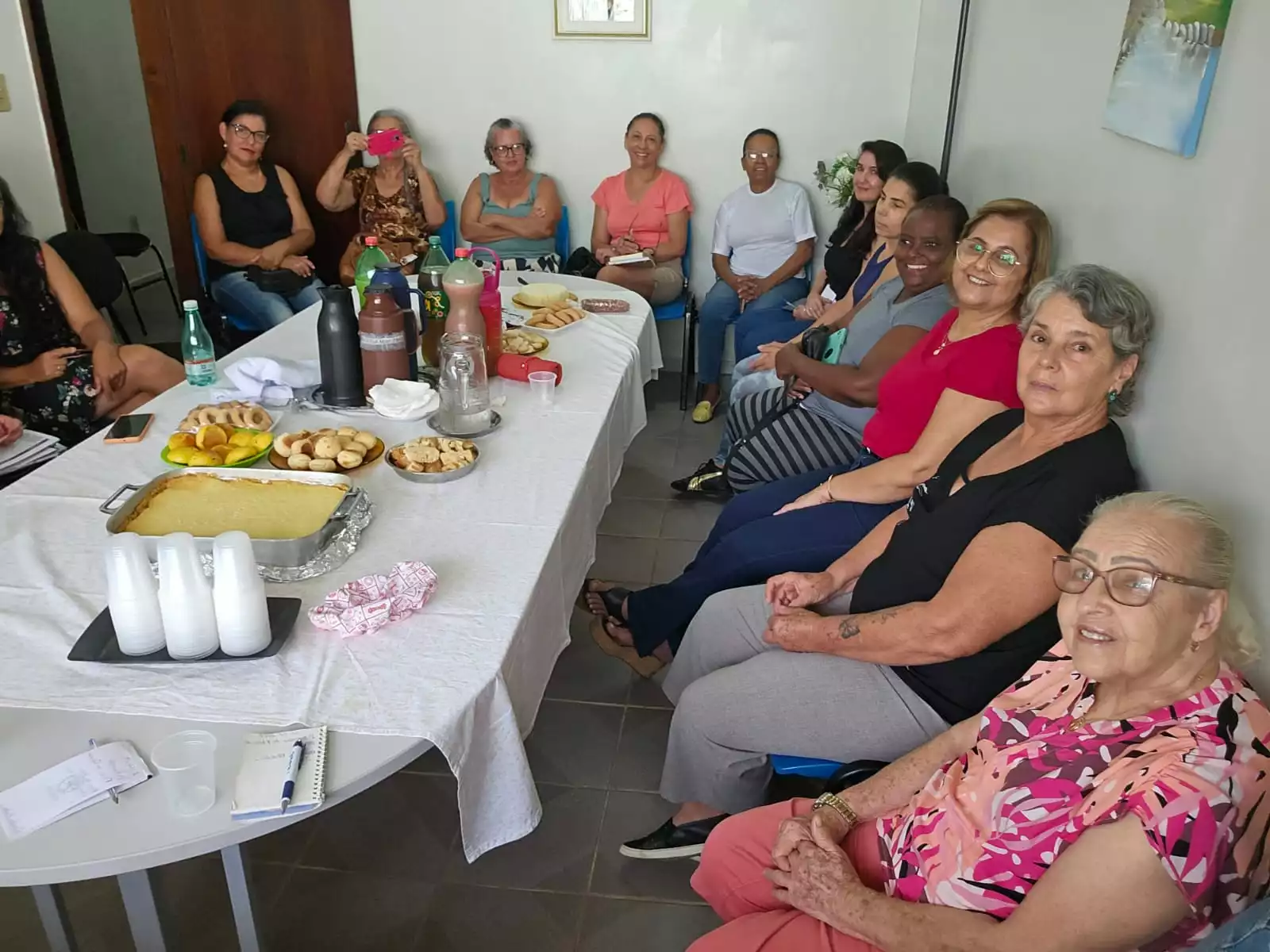 Projeto Flores do Cerrado é Reativado