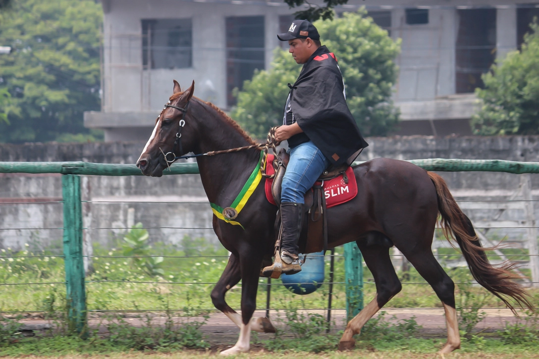 Prefeitura de Pirapora é parceira de mais uma Copa de Marcha de Cavalos Mangalarga
