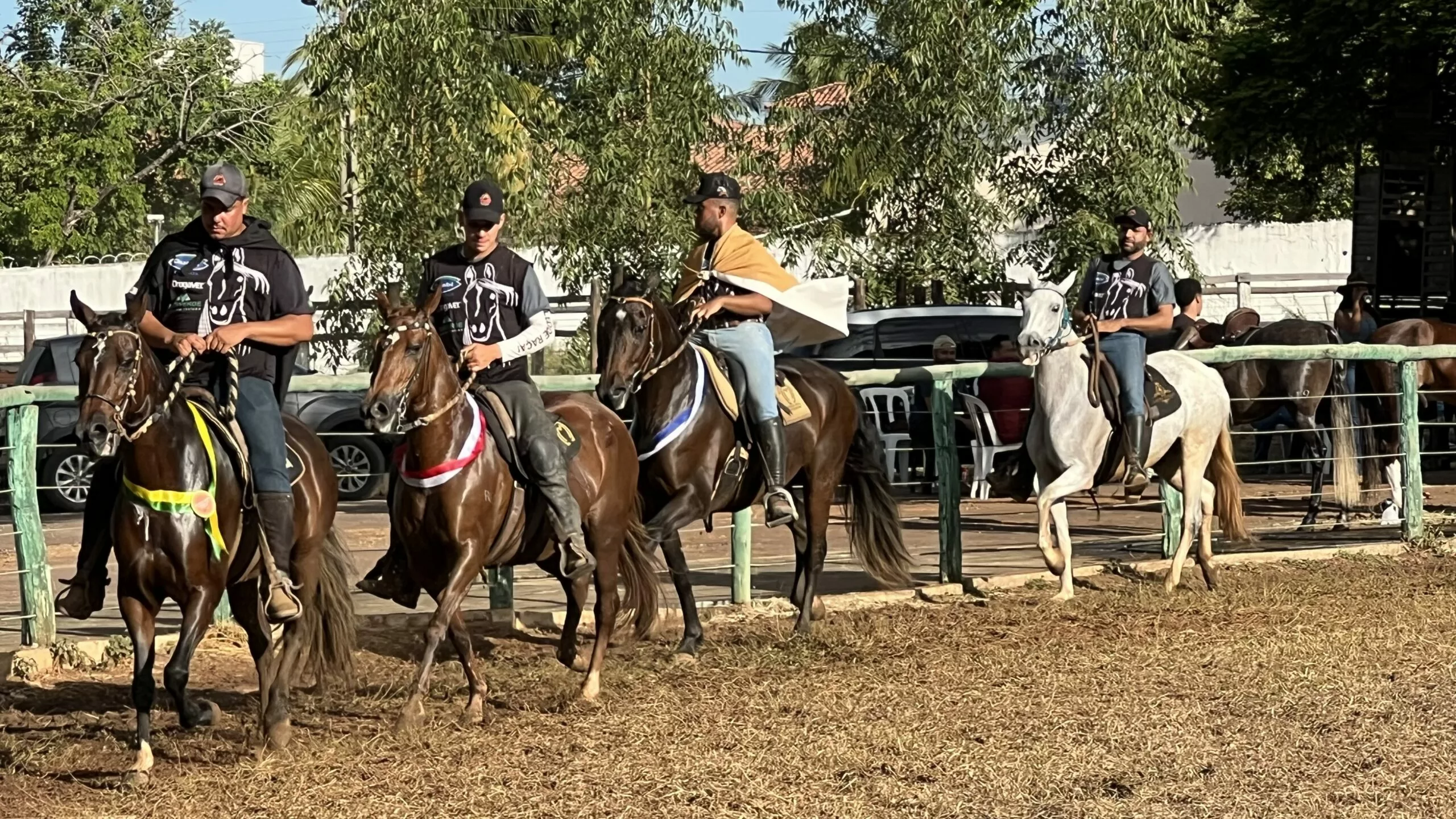 3ª Copa de Marcha de Cavalos Mangalarga agitou o Parque de Exposições de Pirapora