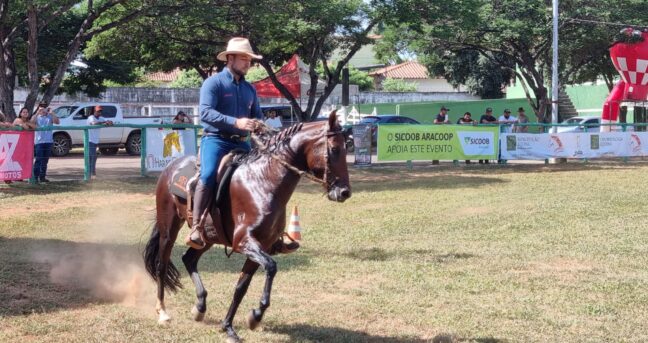 Apoiada pela Prefeitura de Pirapora, 2ª Copa de Marcha de cavalos mangalarga será no sábado (02/03)