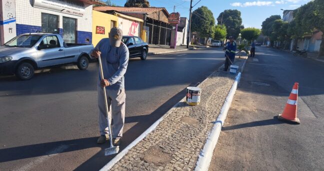 Limpeza Urbana: Preserve a cidade limpa!