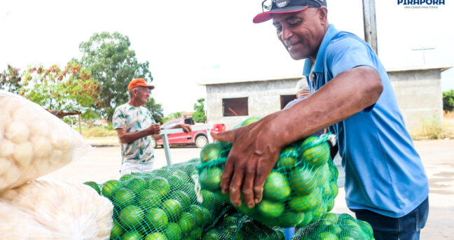 Pirapora gera renda na agricultura e coloca alimento nas escolas