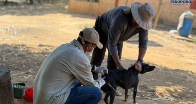 Campanha de Vacinação Antirrábica no Campo