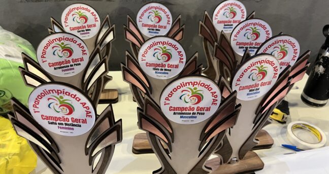 Paraolimpíadas Regional de Pirapora reuniu APAEs e fortaleceu a inclusão através do esporte