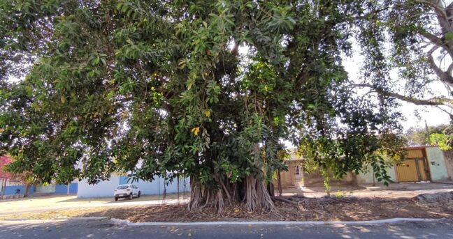 Atualização do Inventário de Bens Culturais 2025 assegura preservação e Identidade de Pirapora